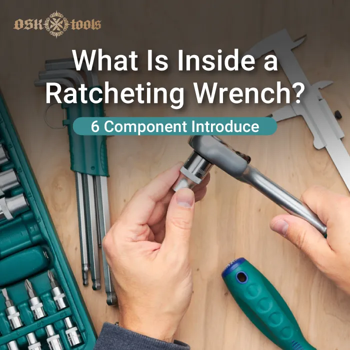 What is inside a ratcheting wrench-inside ratcheting wrench